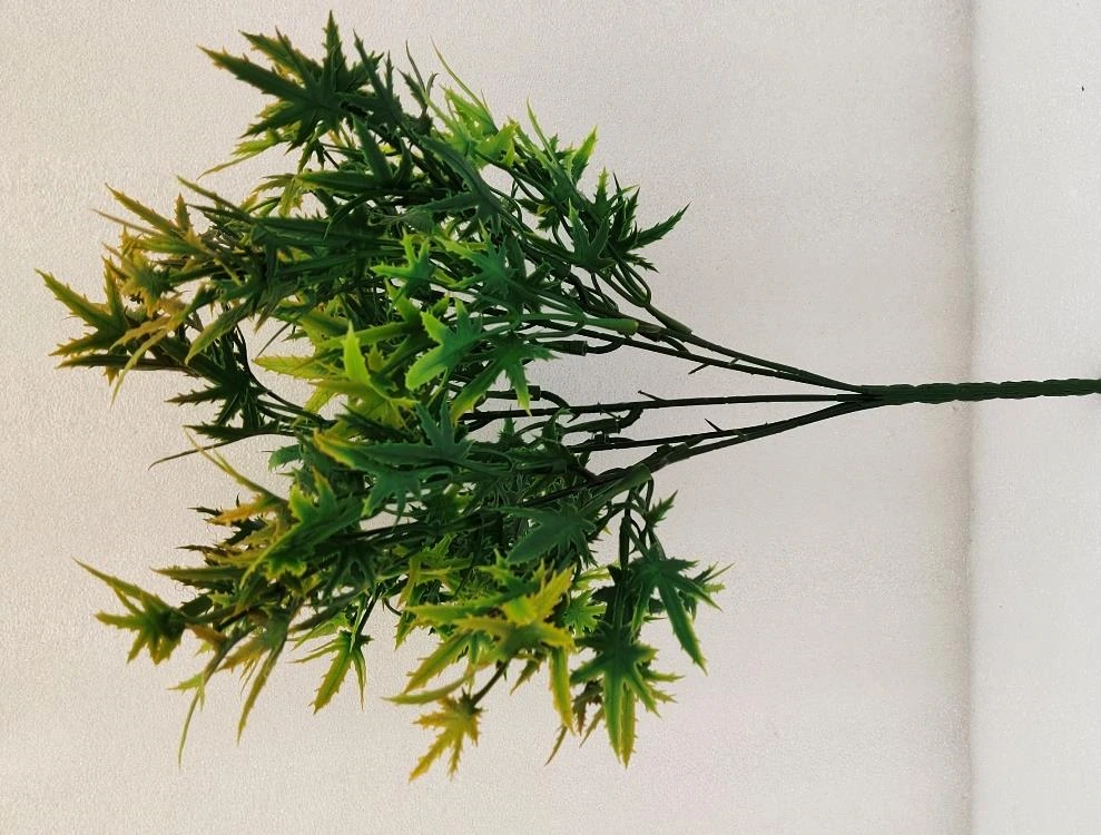Maple Leaves Bunch